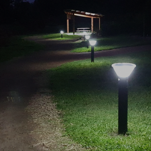 Solar Path and Walkway Lights