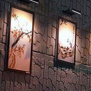 Solar Advertising, Sign and Wall Lights